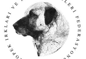 Köpeklerde Secere Nedir